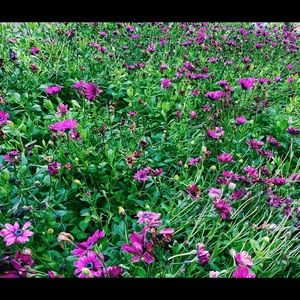 Meet your Posher, Logan